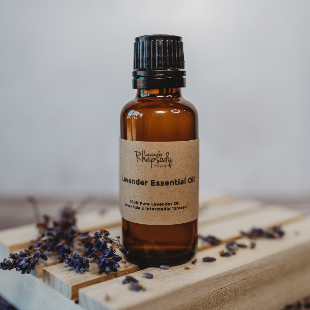 lavender essential oil