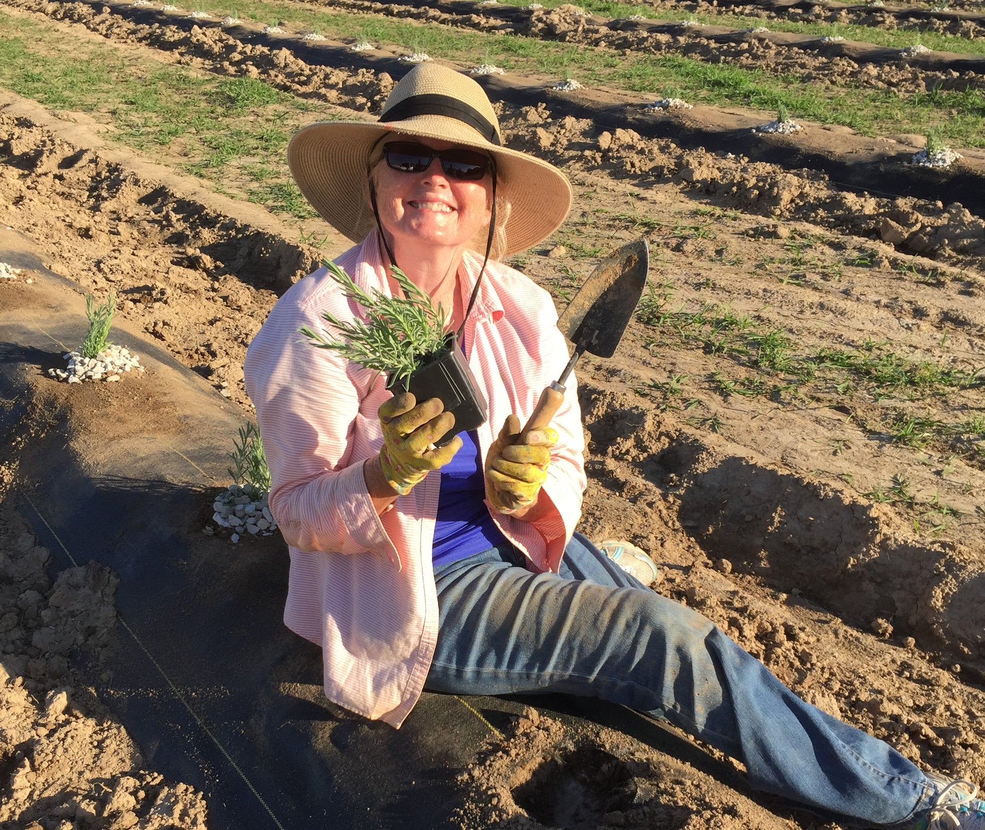 Let’s Start at the Very Beginning...