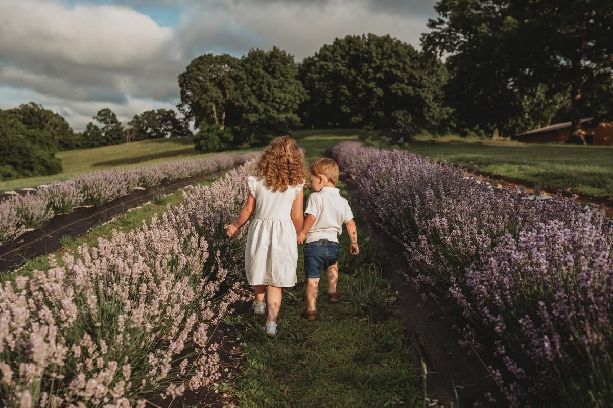 Children walking in lavender field