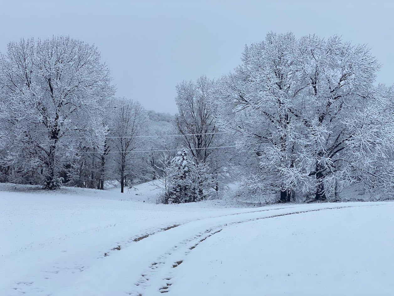 Beat the Winter Blues Naturally!