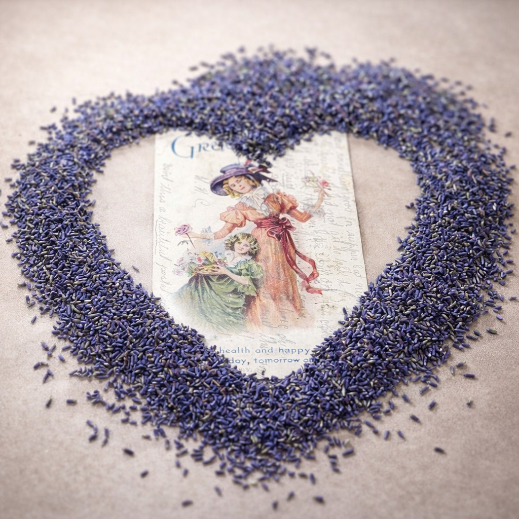 Our Love Letter to Lavender