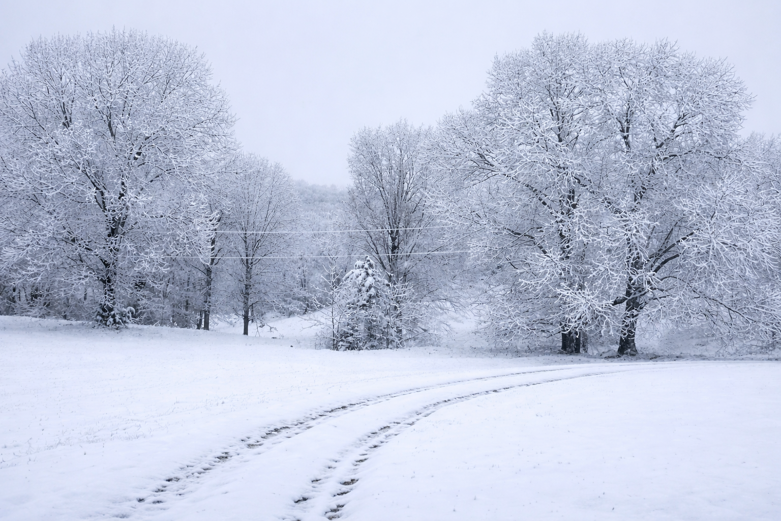 winter path through snow covered trees